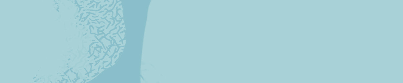 Preserving Memories for Future Generations