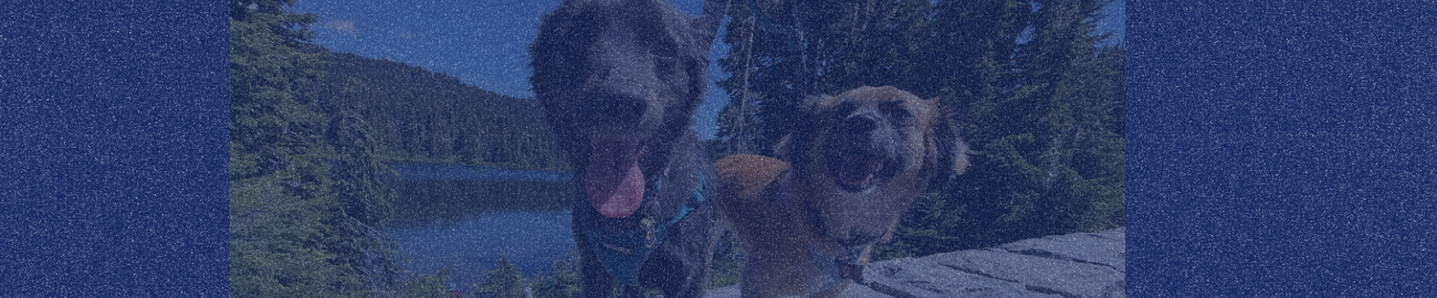 Boots & Ollie at Mt. Rainier