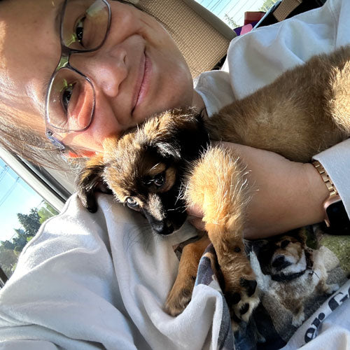 Boots’ First Day, held by Alexis