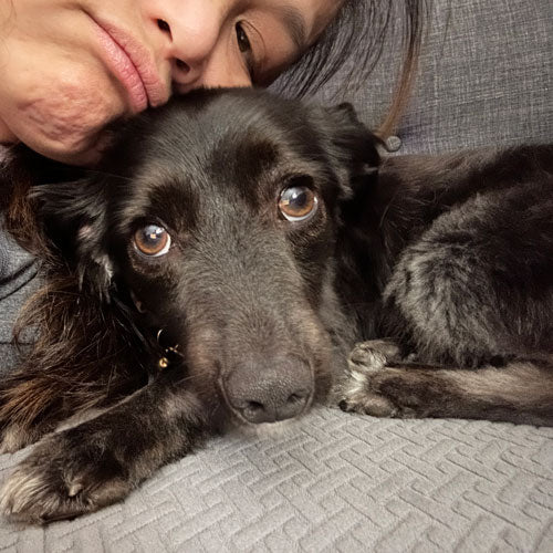 Ollie, the doggie with the sweetest saddest eyes