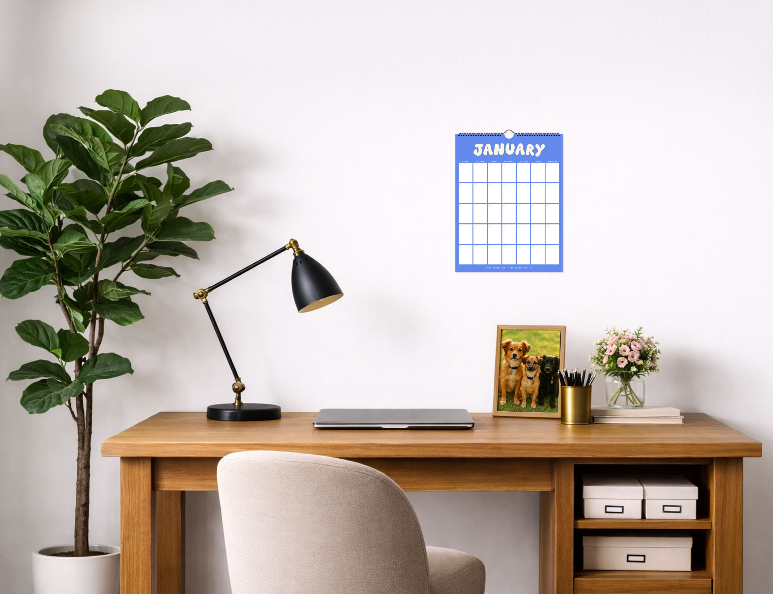 Bubble Undated Wall Calendar