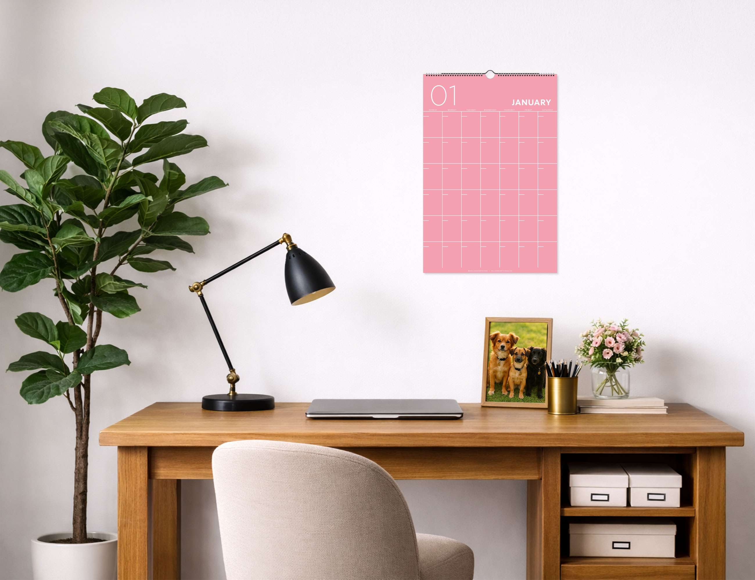 Chromatic Undated Wall Calendar