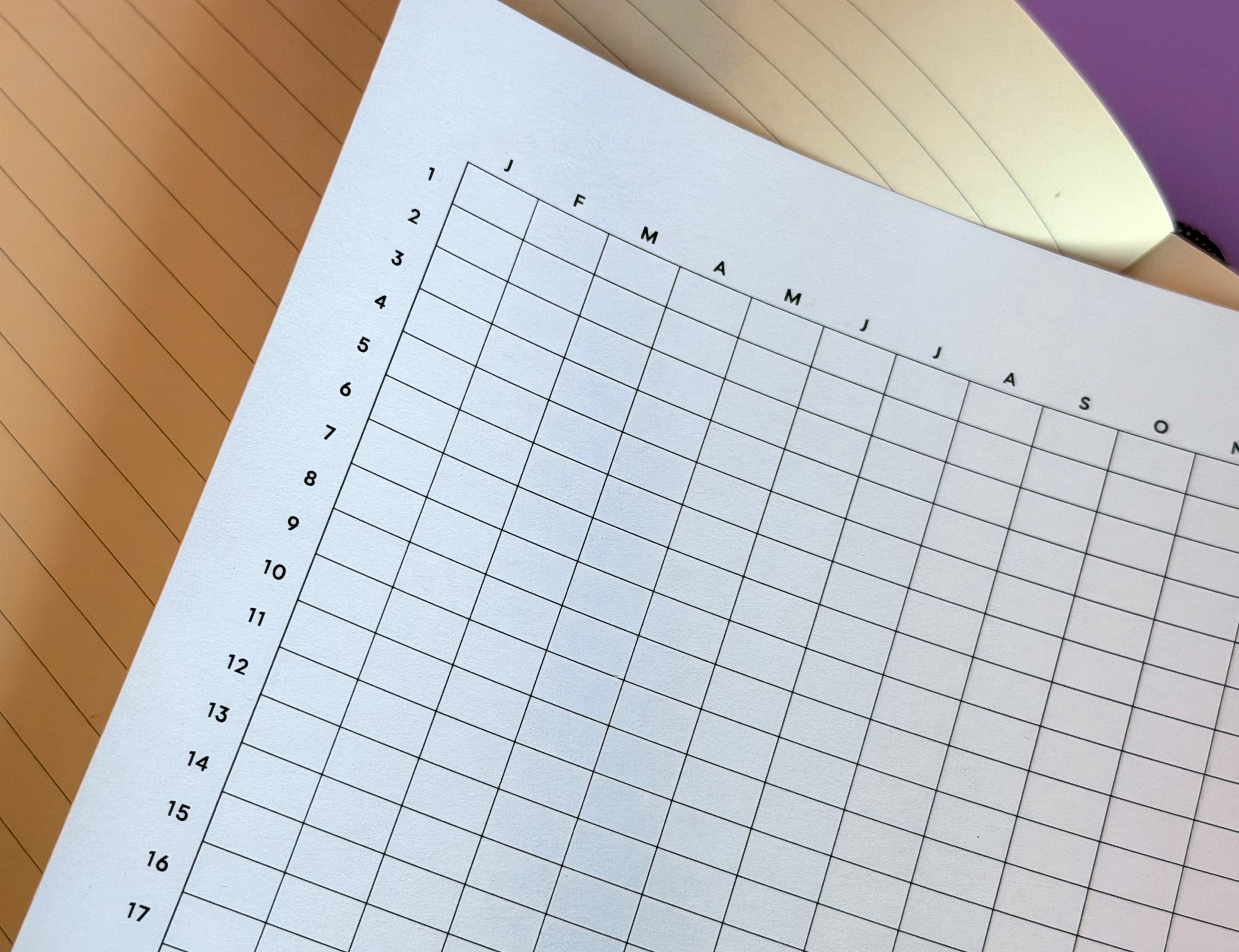 Year Tracker Sticker, Large