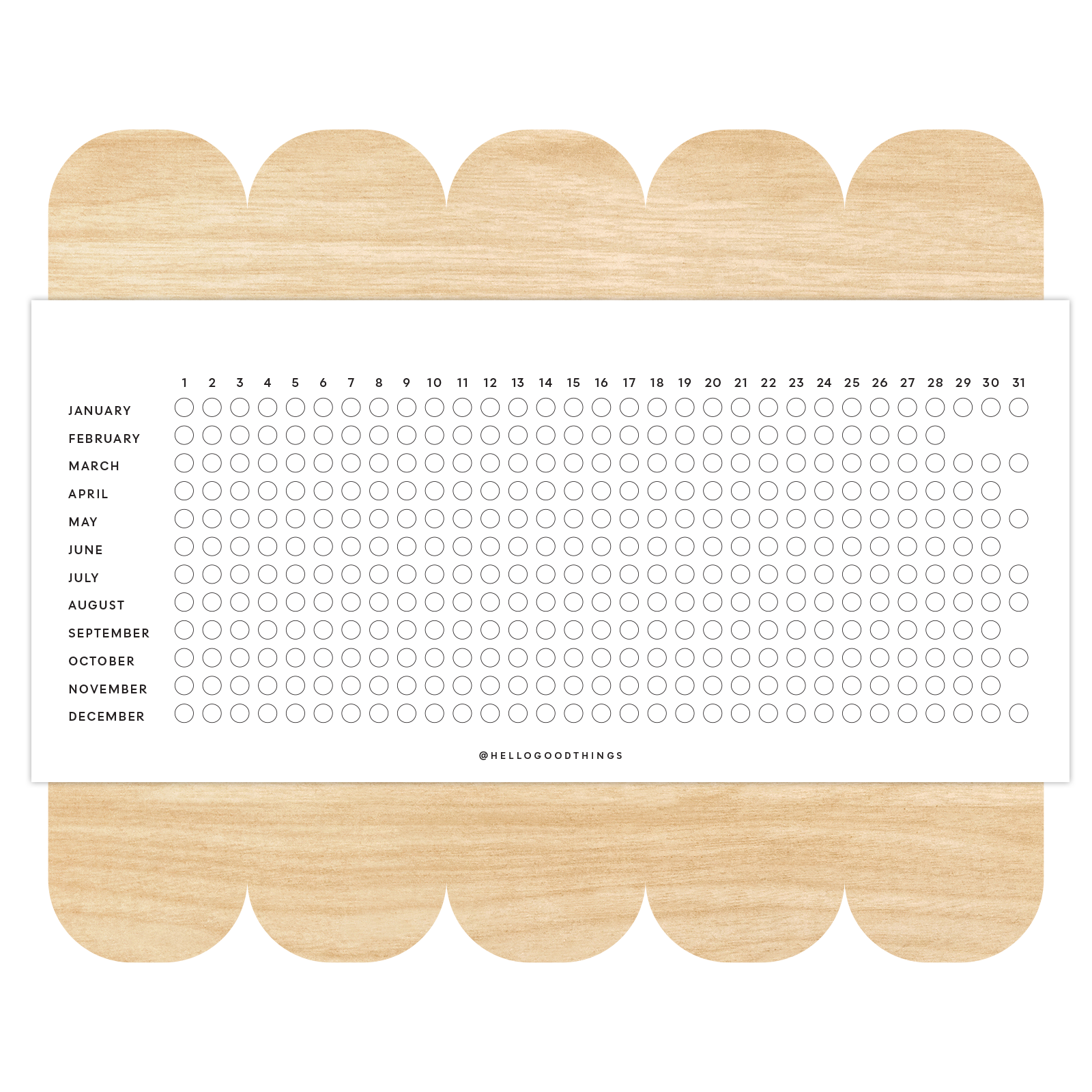 Year Tracker Sticker, Horizontal