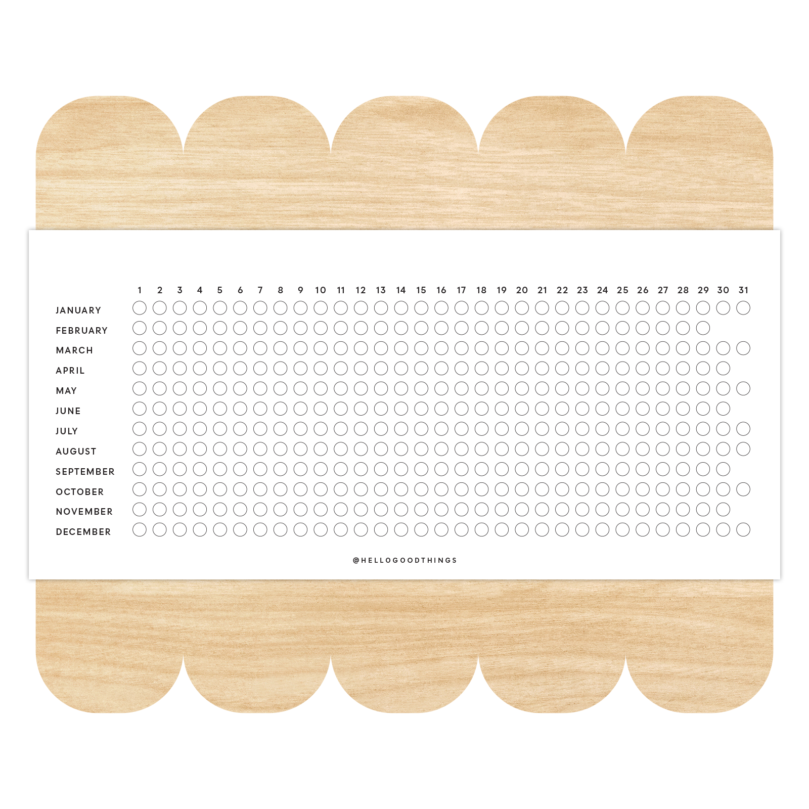 Year Tracker Sticker, Horizontal
