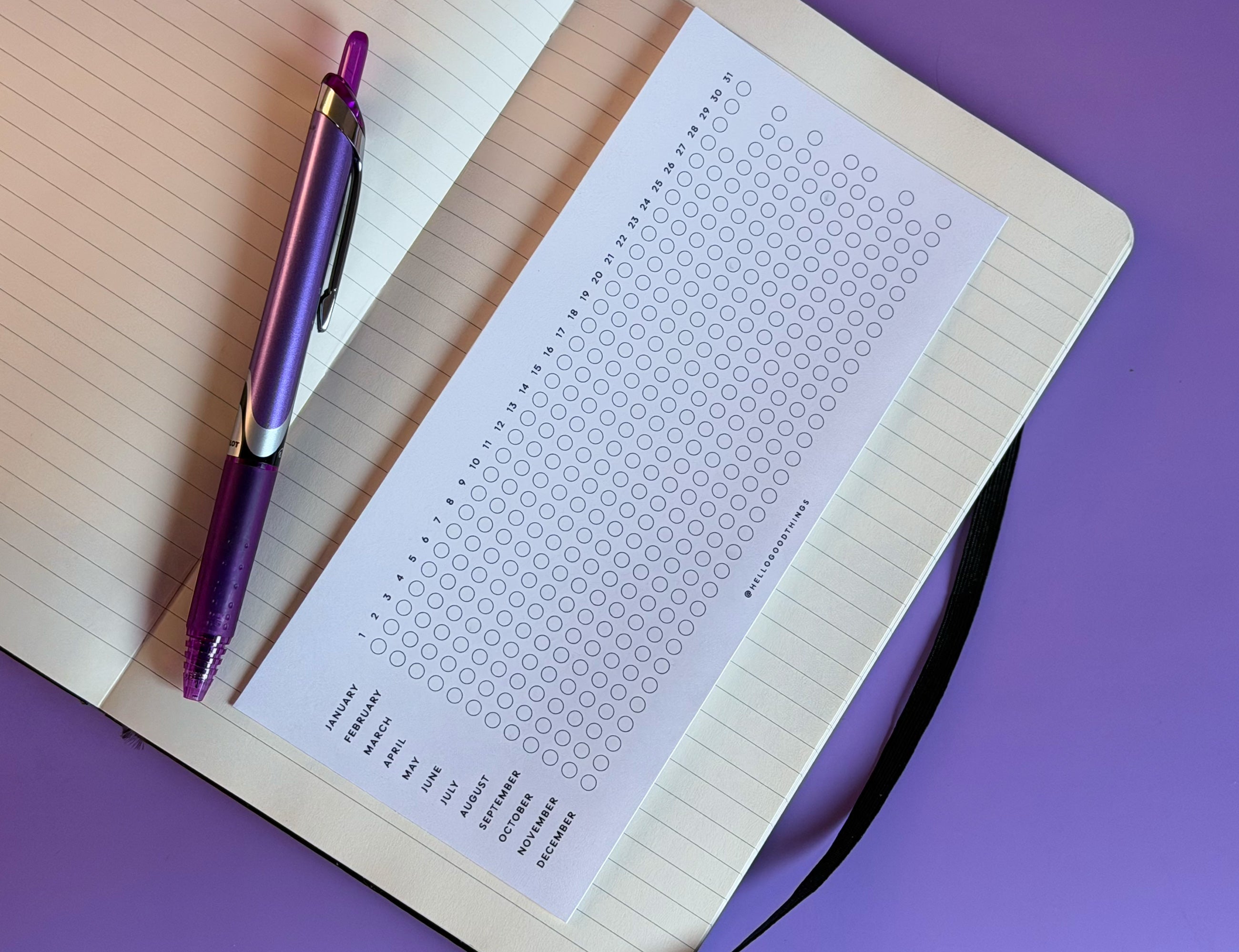 Year Tracker Sticker, Horizontal