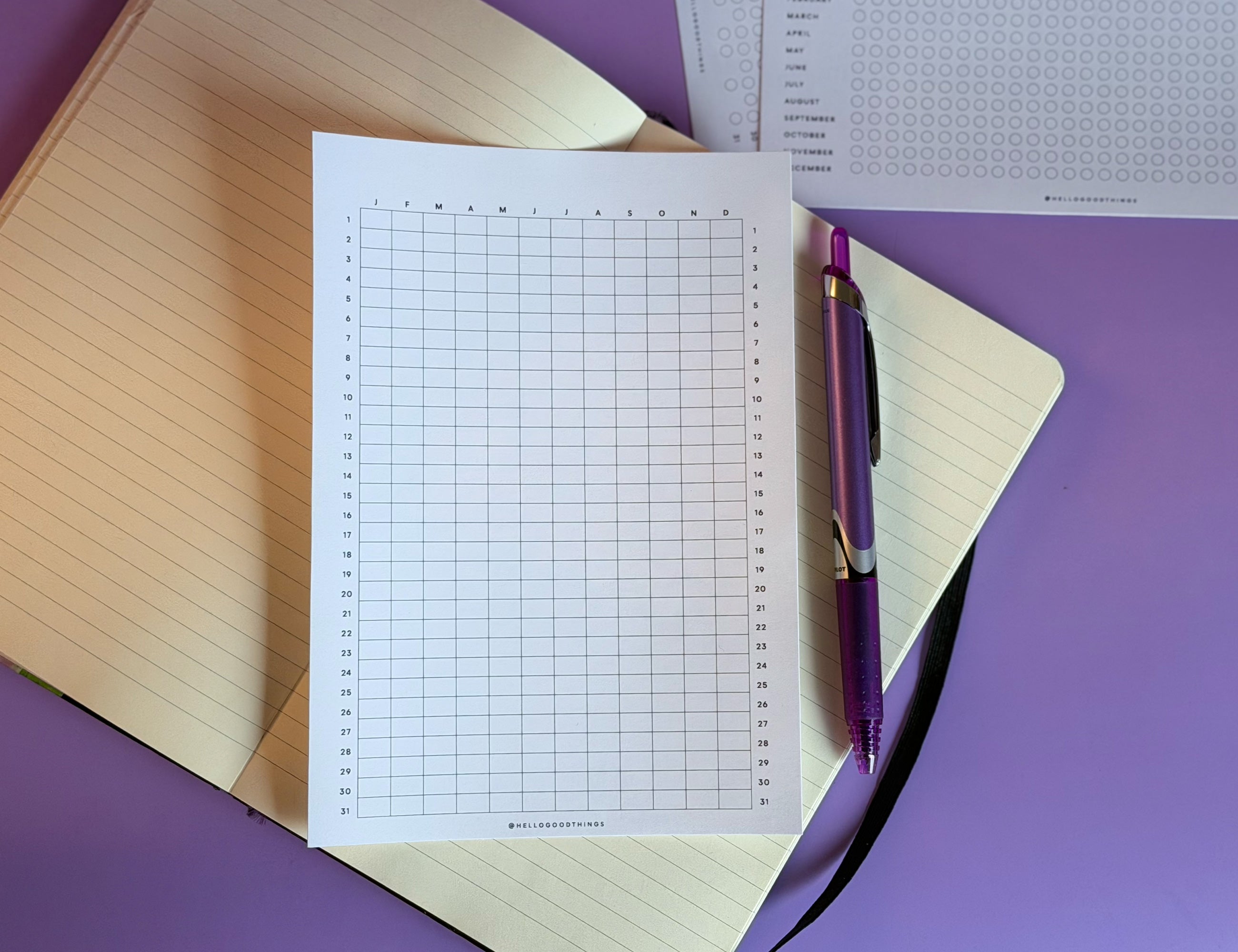 Year Tracker Sticker, Large