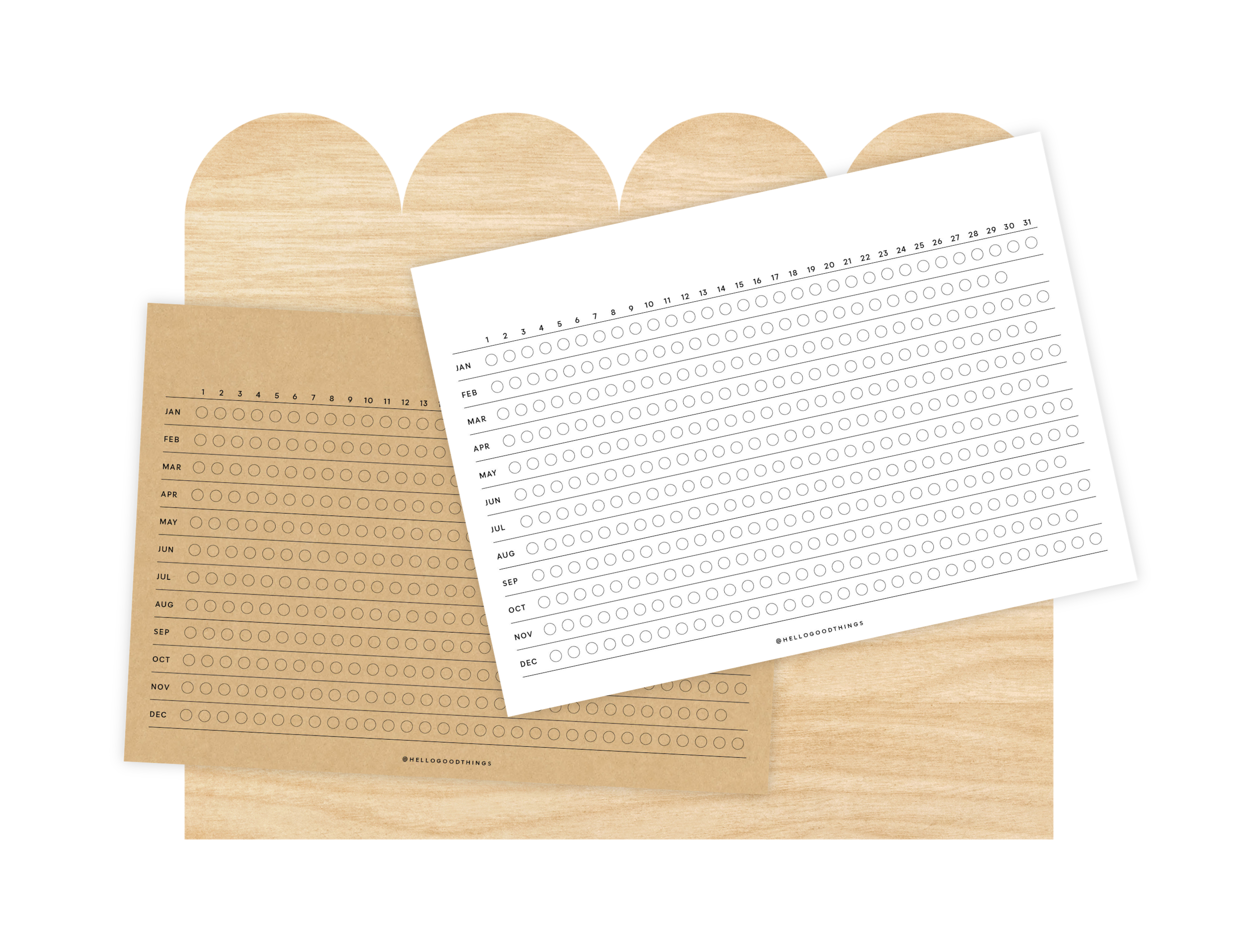 Year Tracker Sticker, Large, Horizontal Circles