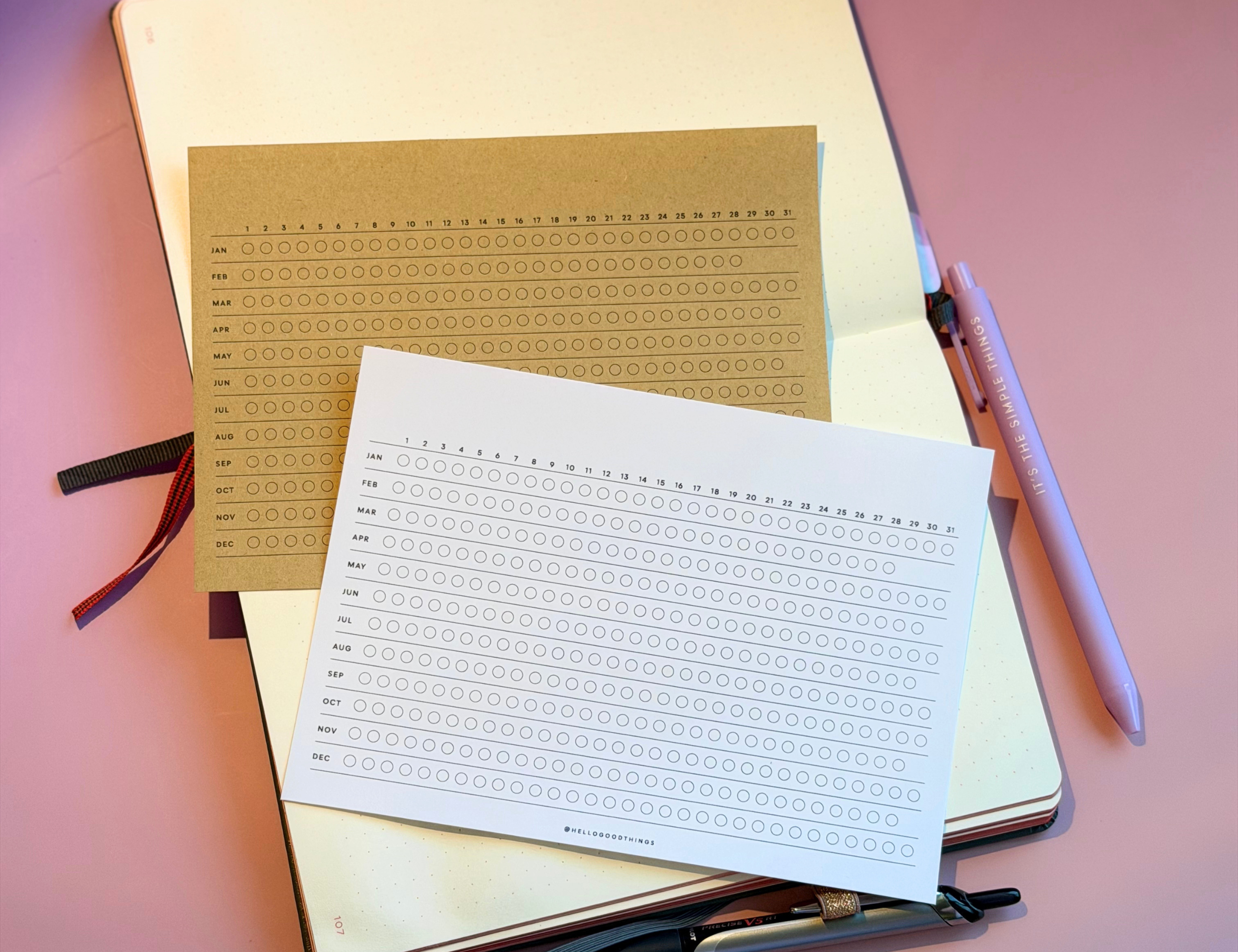 Year Tracker Sticker, Large, Horizontal Circles