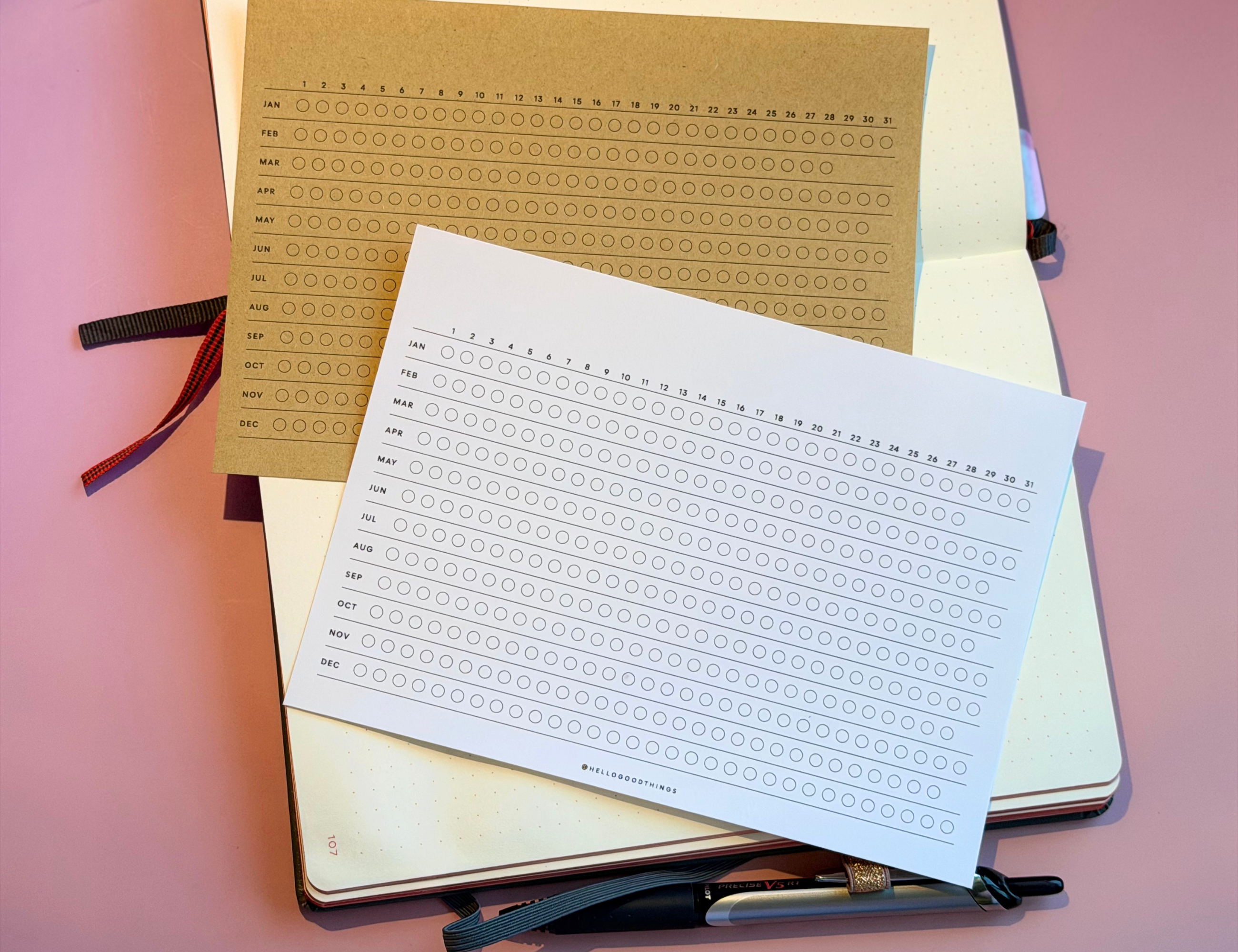 Year Tracker Sticker, Large, Horizontal Circles