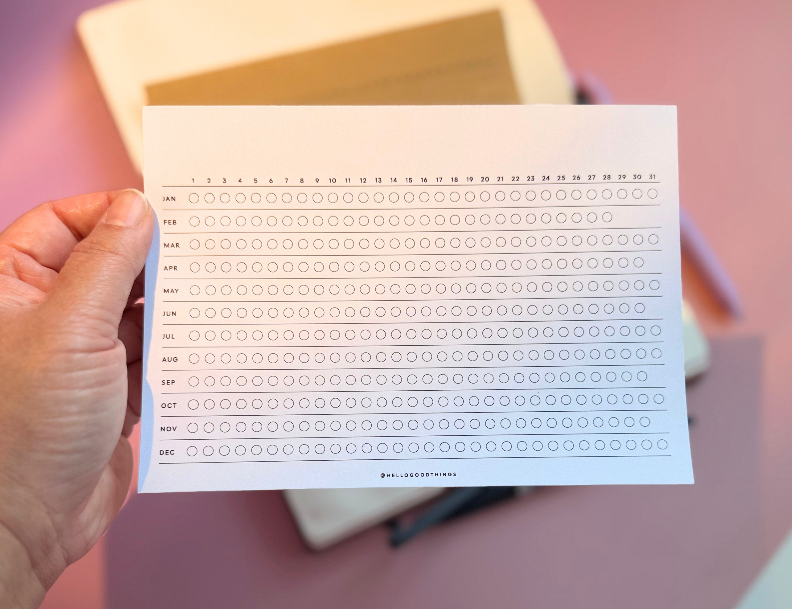 Year Tracker Sticker, Large, Horizontal Circles