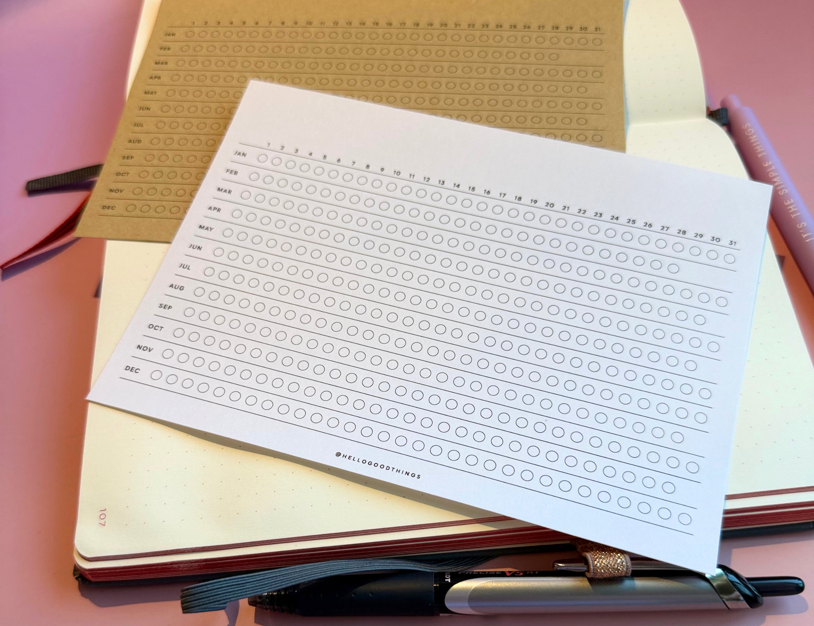 Year Tracker Sticker, Large, Horizontal Circles
