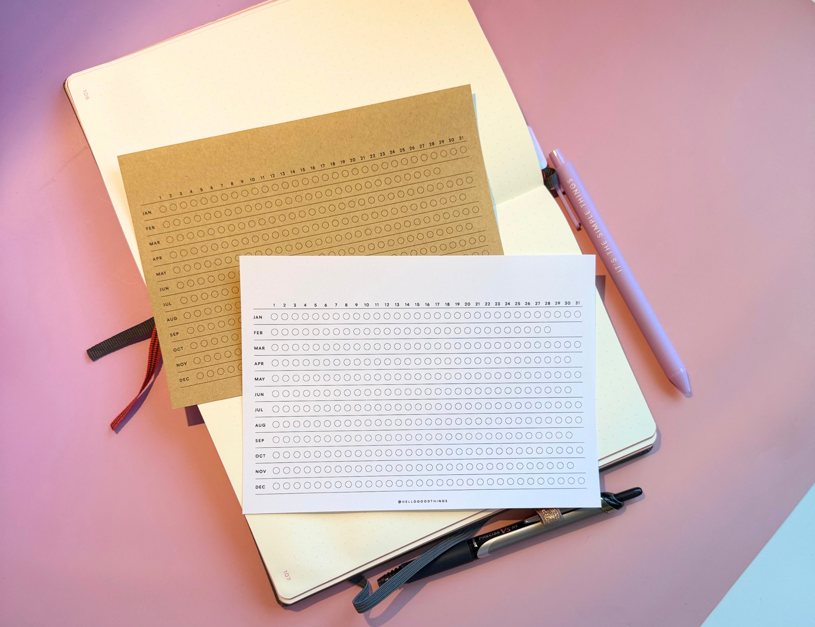 Year Tracker Sticker, Large, Horizontal Circles