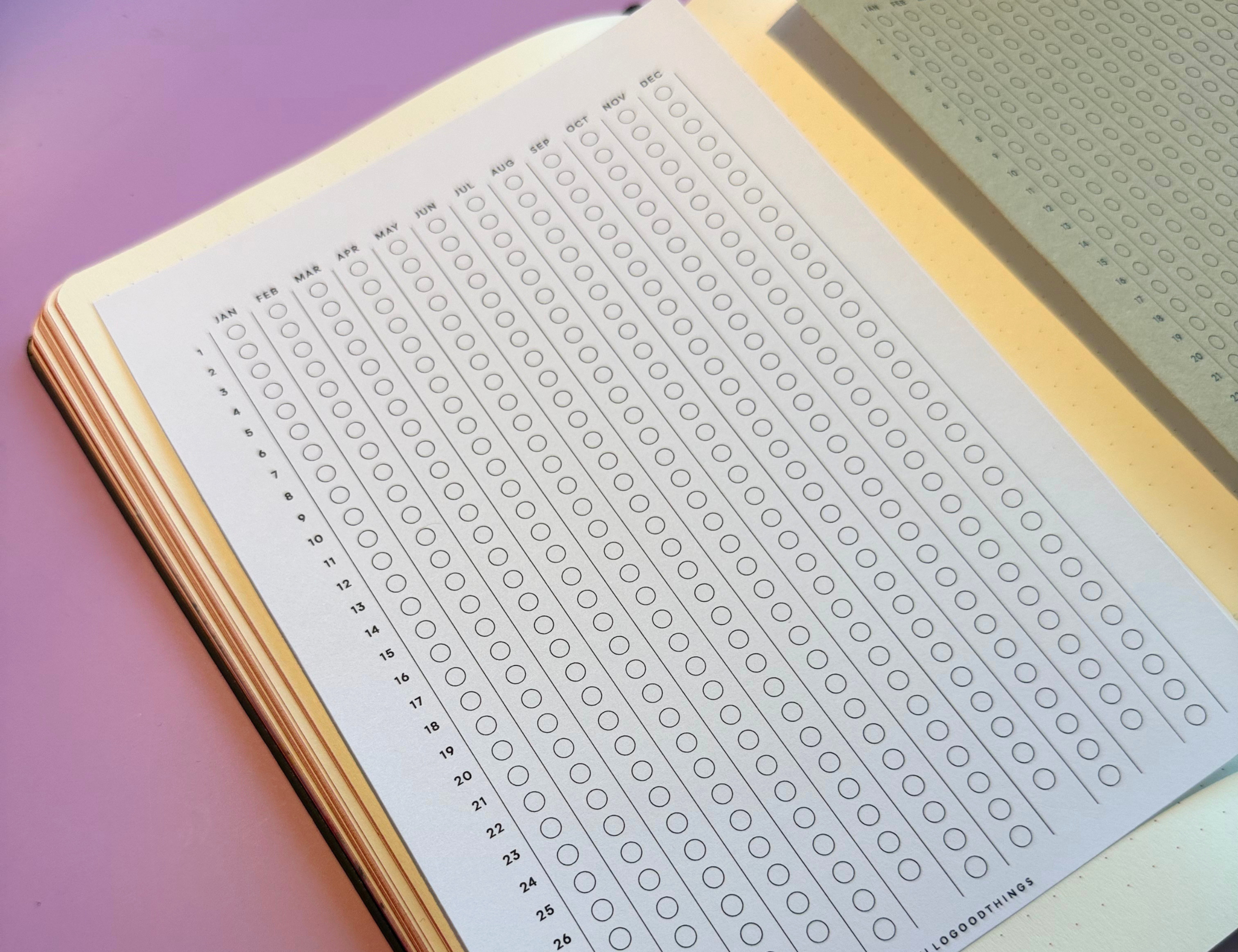 Year Tracker Sticker, Large, Vertical Circles