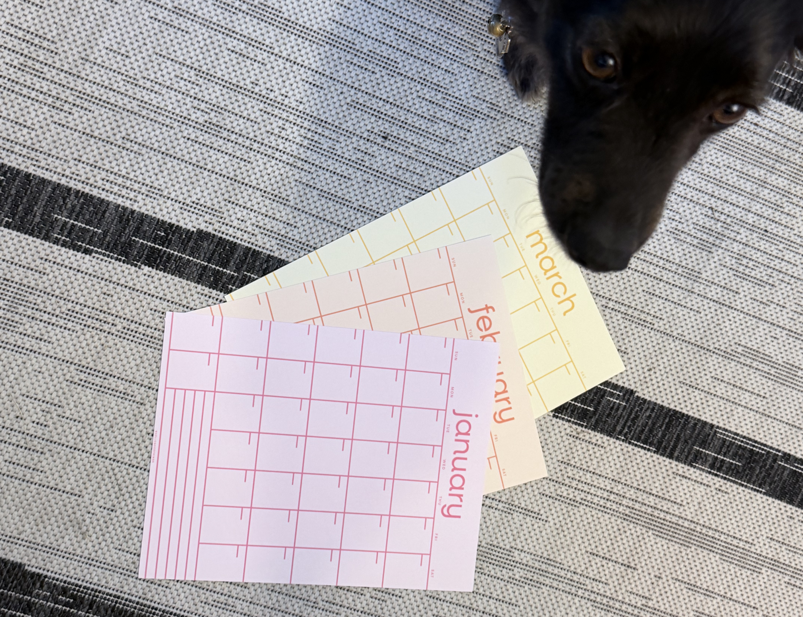 Rainbow Grid Undated Calendar Pages