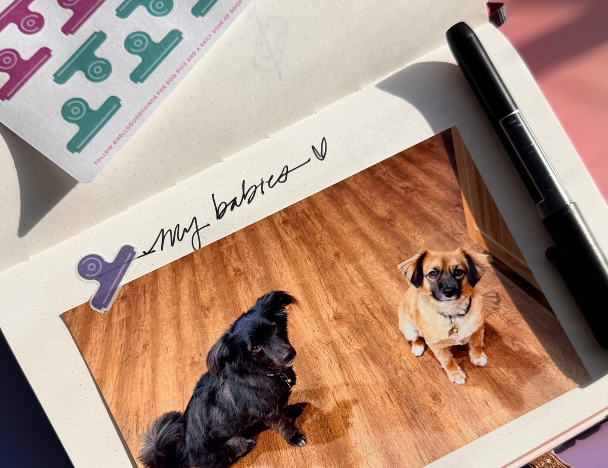 Bulldog Clip Washi Stickers